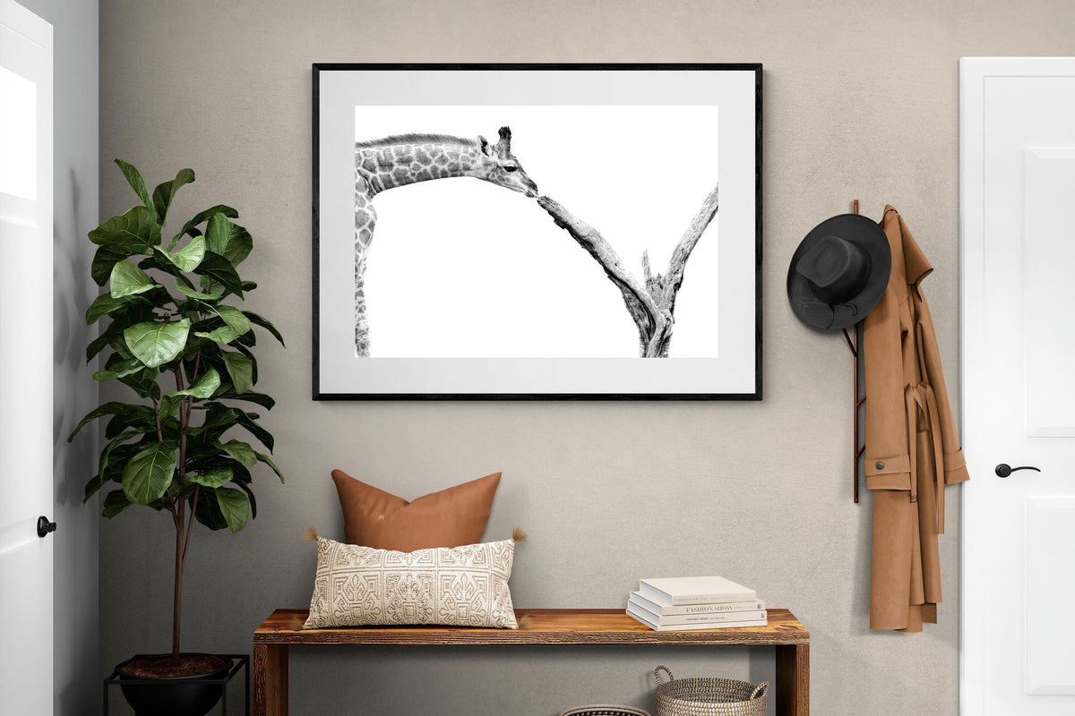 Pixalot ® Giraffe Study
