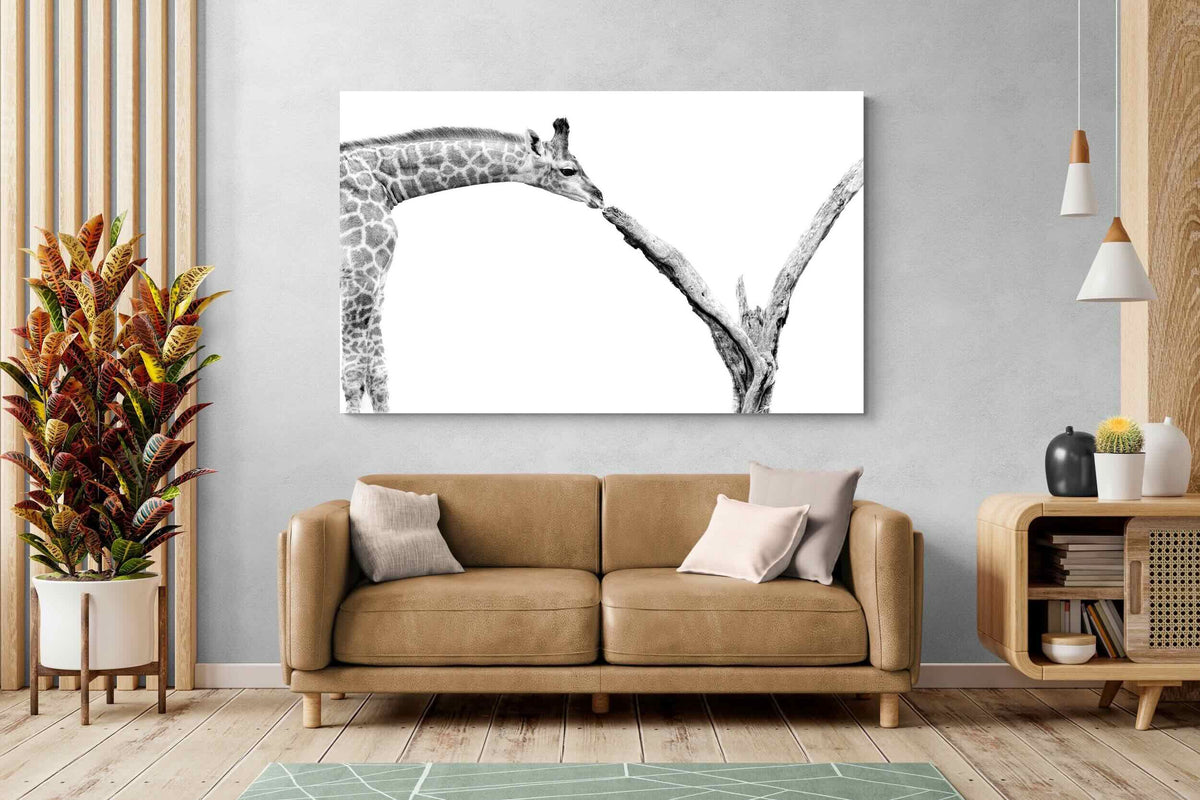 Pixalot ® Giraffe Study