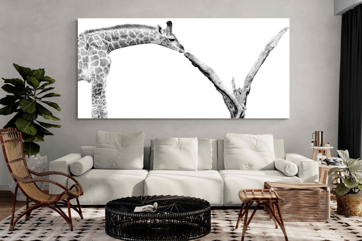 Pixalot ® Giraffe Study