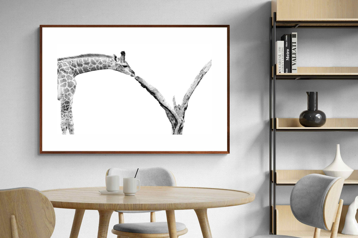 Pixalot ® Giraffe Study