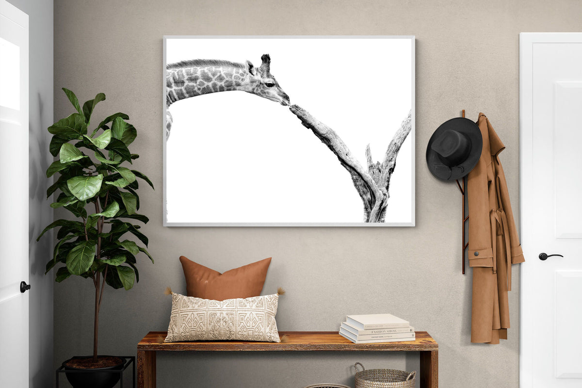 Pixalot ® Giraffe Study