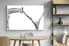 Pixalot ® Giraffe Study