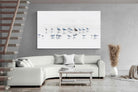 Pixalot ® Gull Gathering