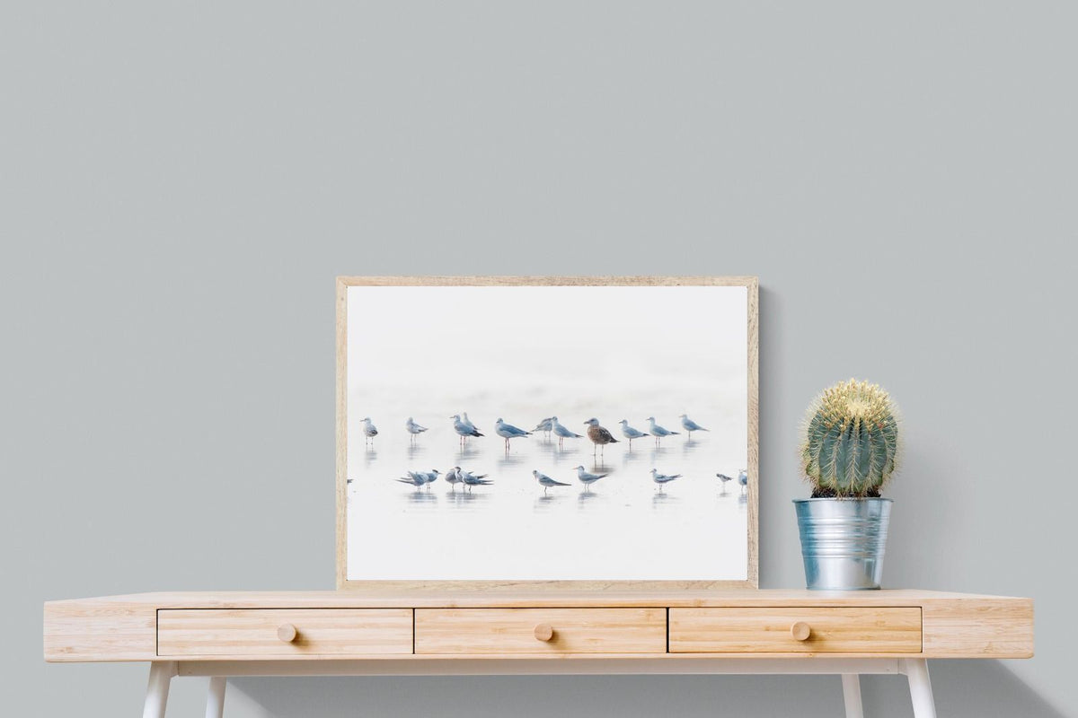 Pixalot ® Gull Gathering
