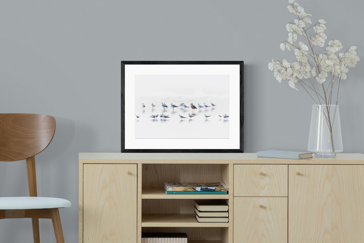 Pixalot ® Gull Gathering