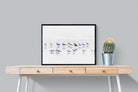 Pixalot ® Gull Gathering