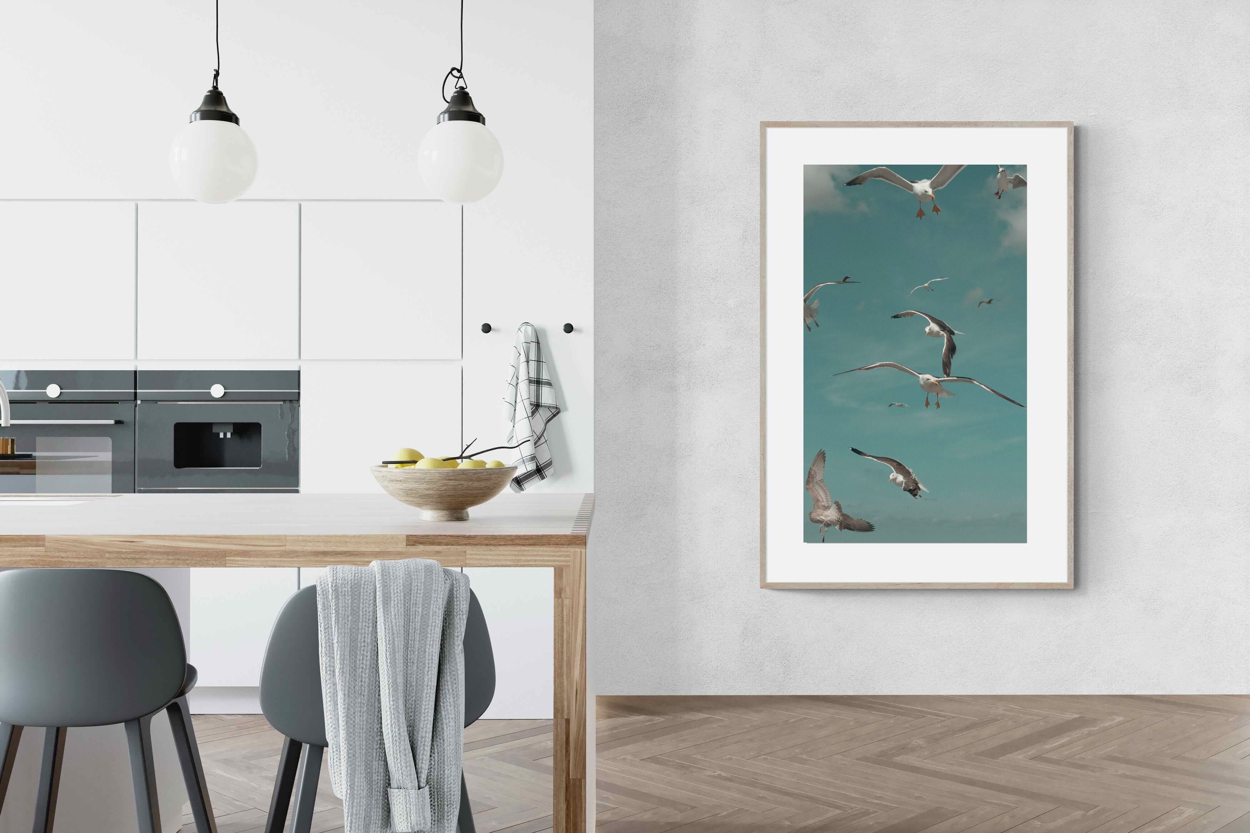 Pixalot ® Gulls in Blue