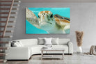 Pixalot ® Hello Turtle