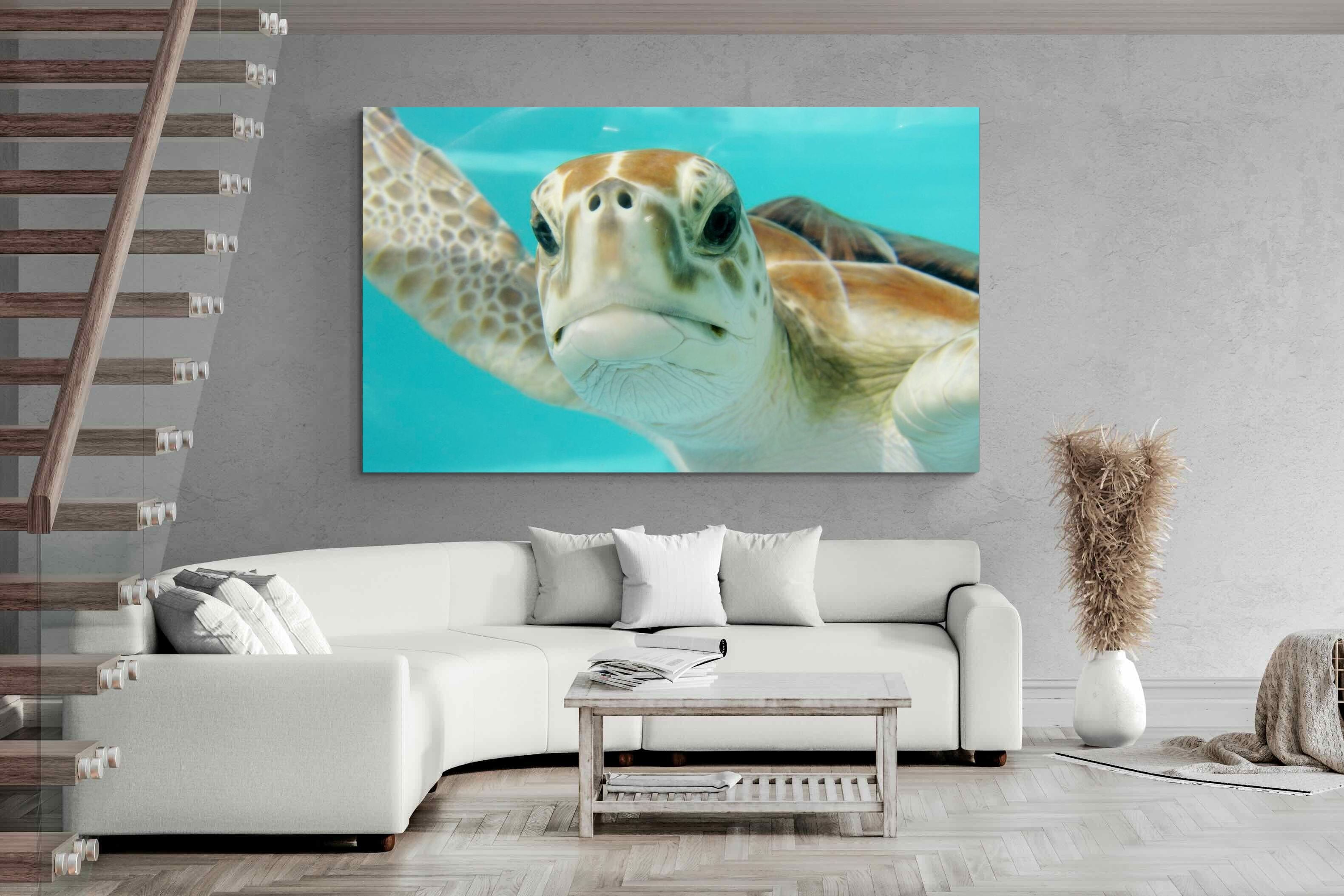 Pixalot ® Hello Turtle