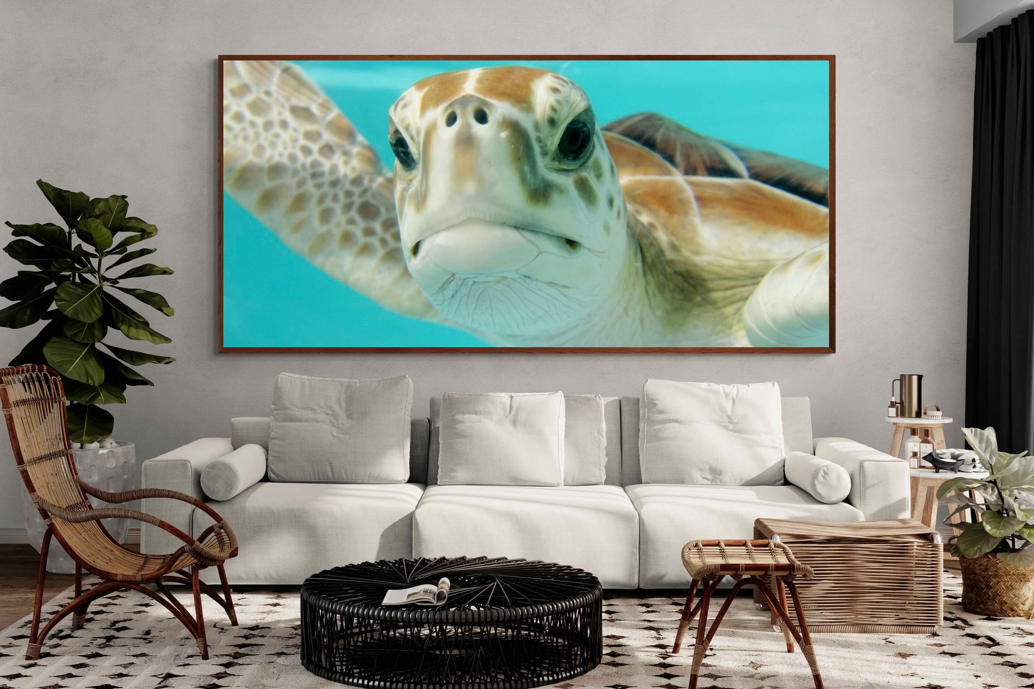 Pixalot ® Hello Turtle