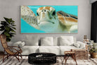 Pixalot ® Hello Turtle