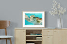 Pixalot ® Hello Turtle