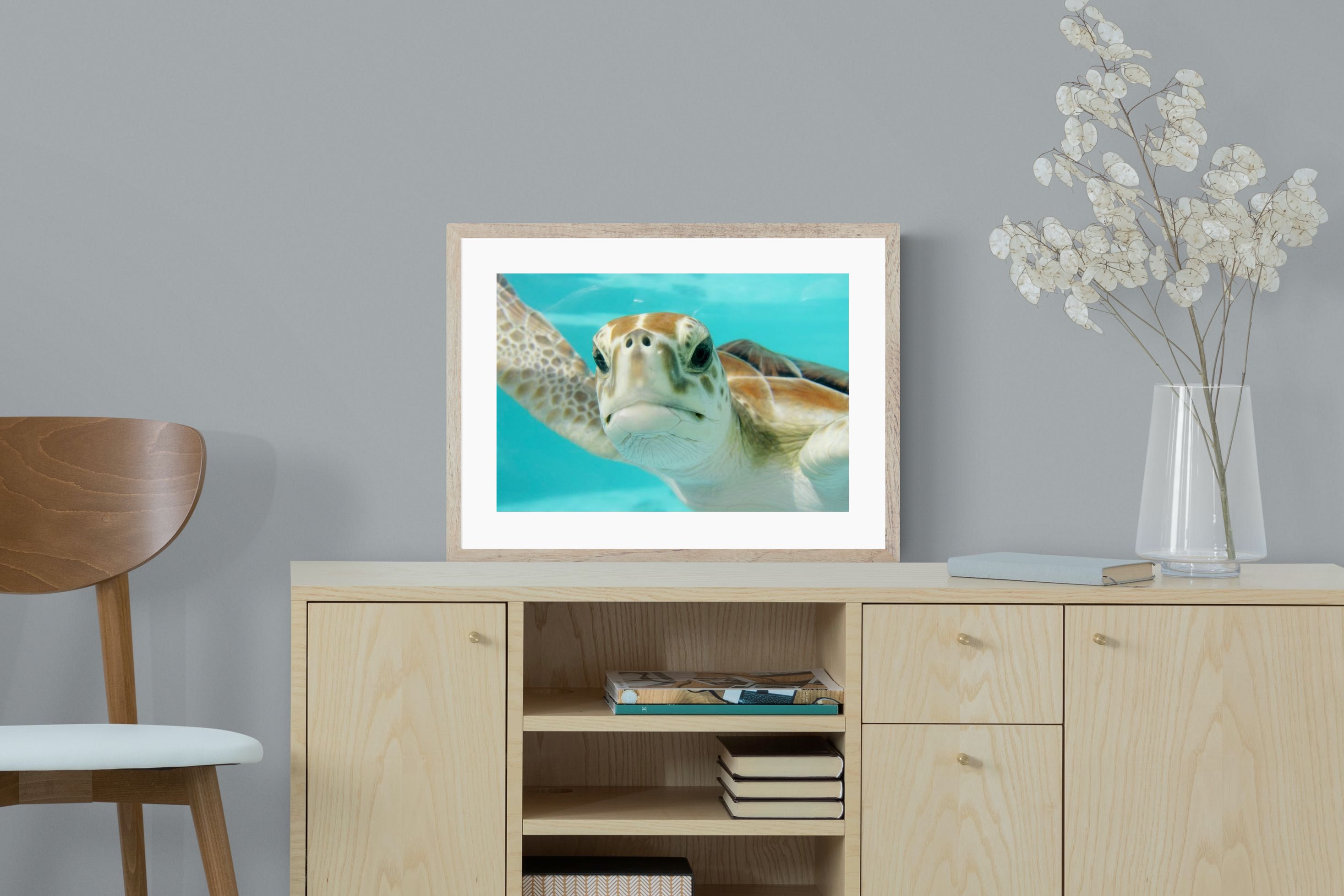 Pixalot ® Hello Turtle