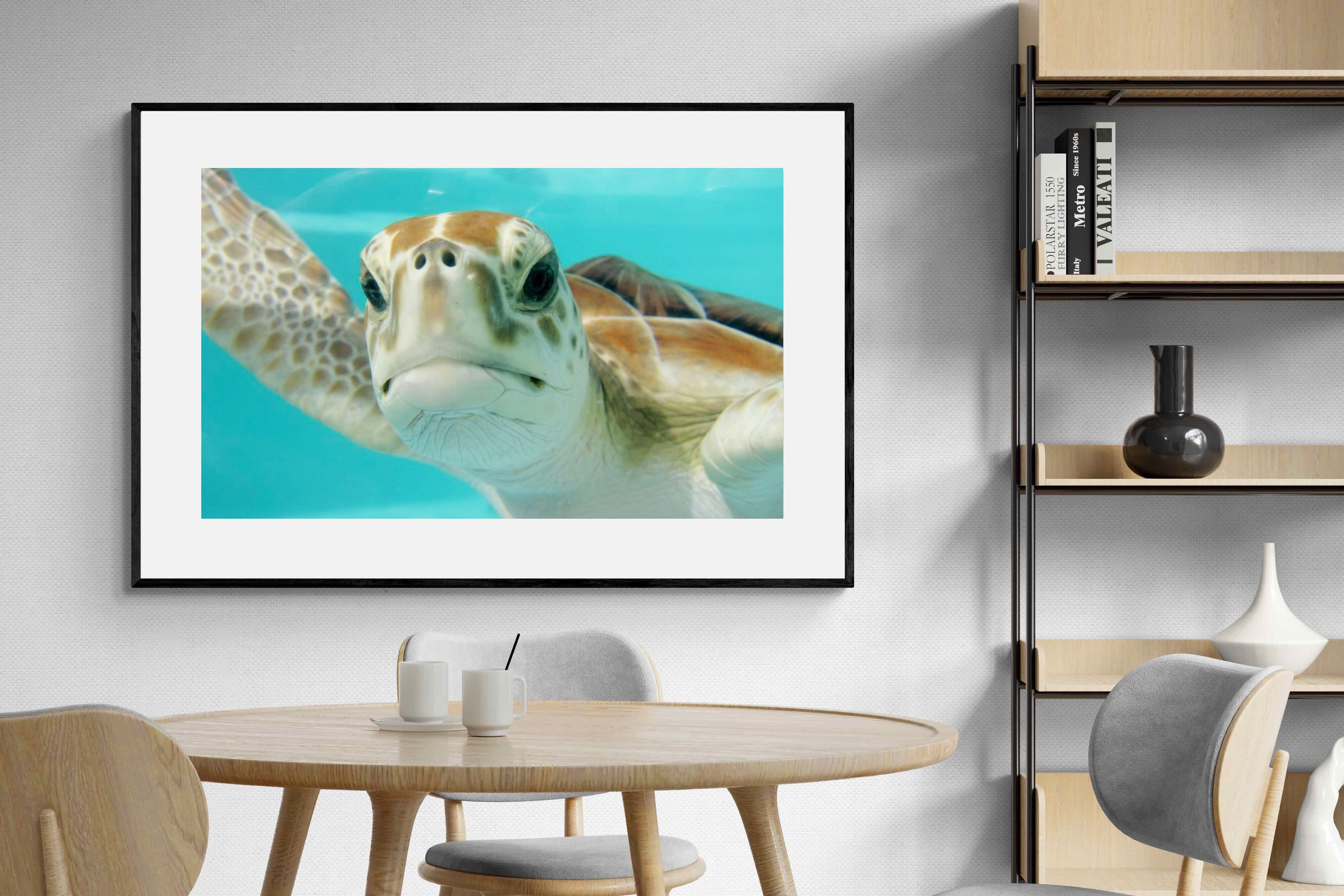 Pixalot ® Hello Turtle