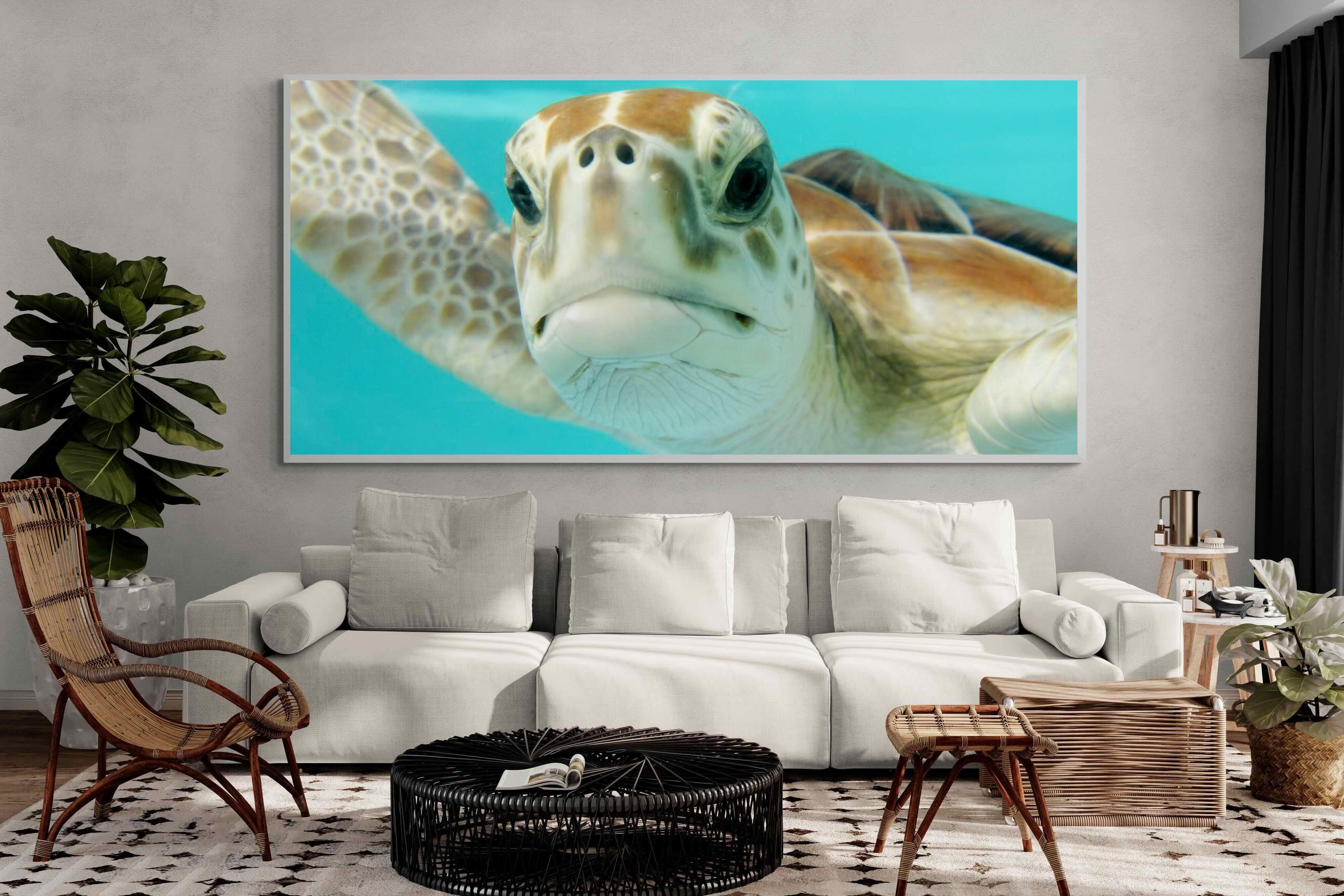 Pixalot ® Hello Turtle