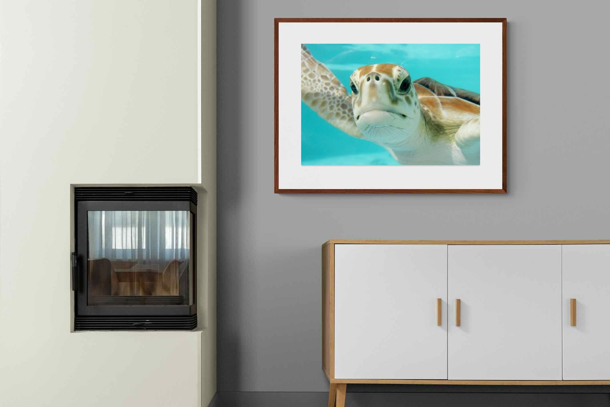 Pixalot ® Hello Turtle