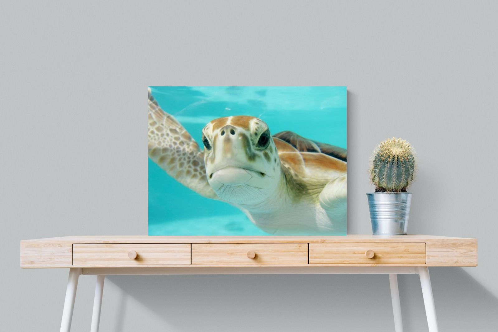 Pixalot ® Hello Turtle