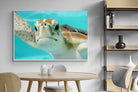Pixalot ® Hello Turtle