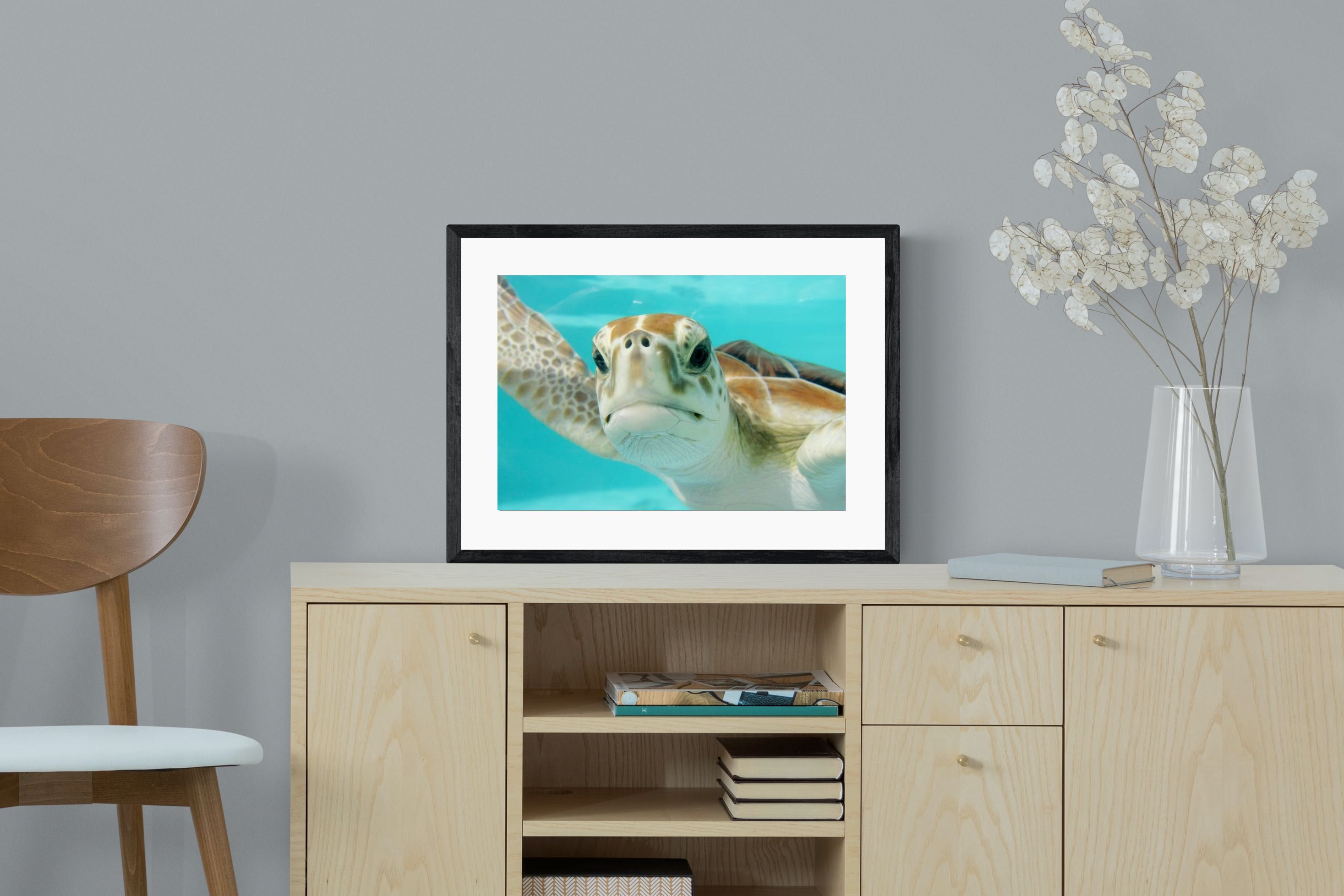 Pixalot ® Hello Turtle
