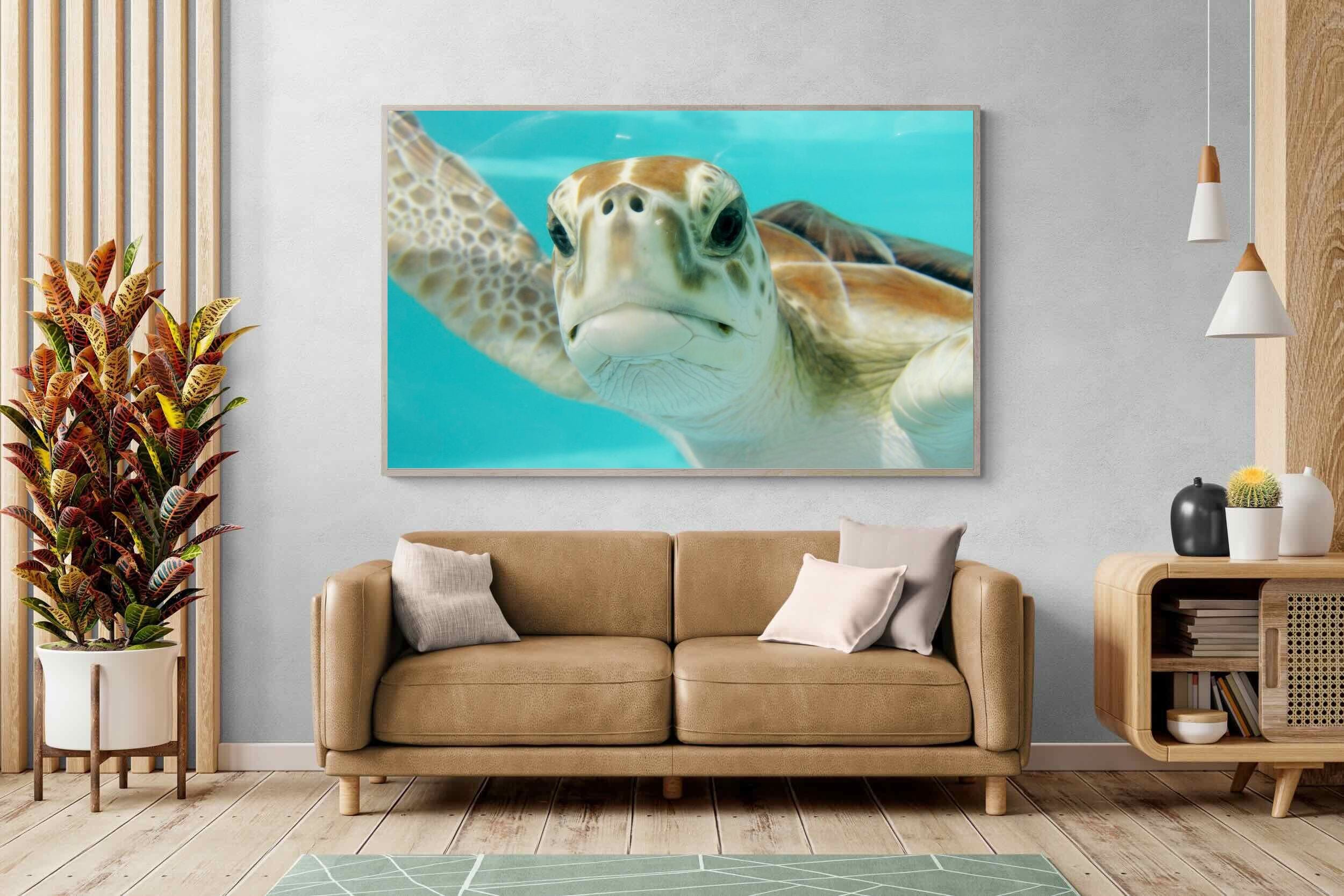 Pixalot ® Hello Turtle