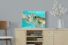 Pixalot ® Hello Turtle