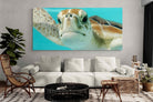Pixalot ® Hello Turtle