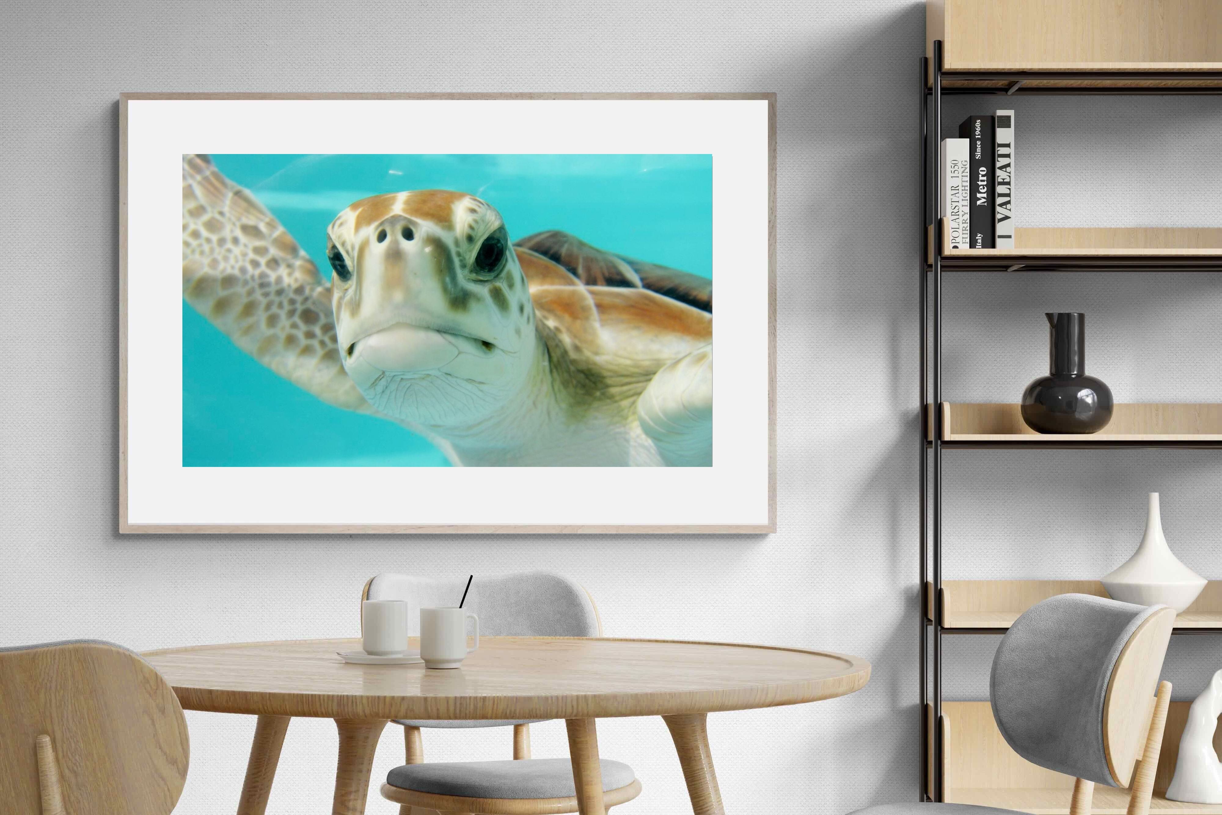 Pixalot ® Hello Turtle