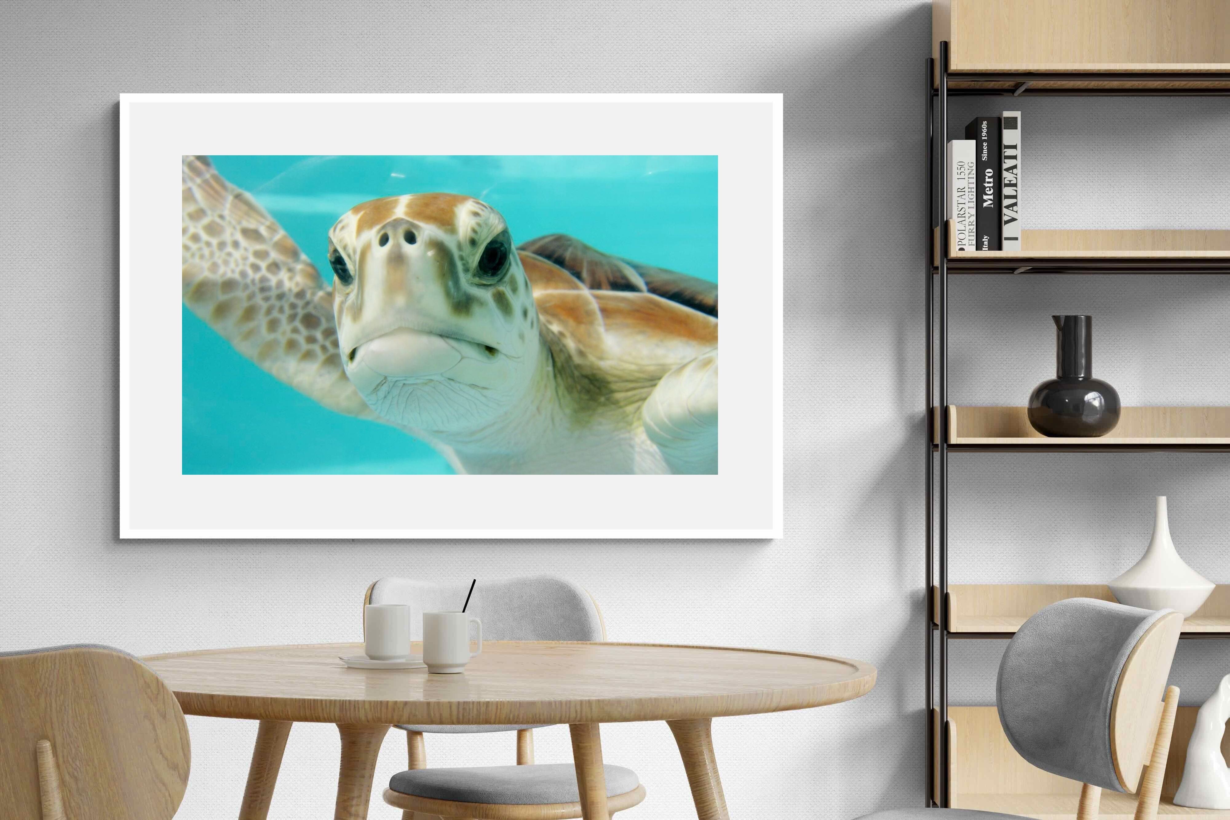 Pixalot ® Hello Turtle