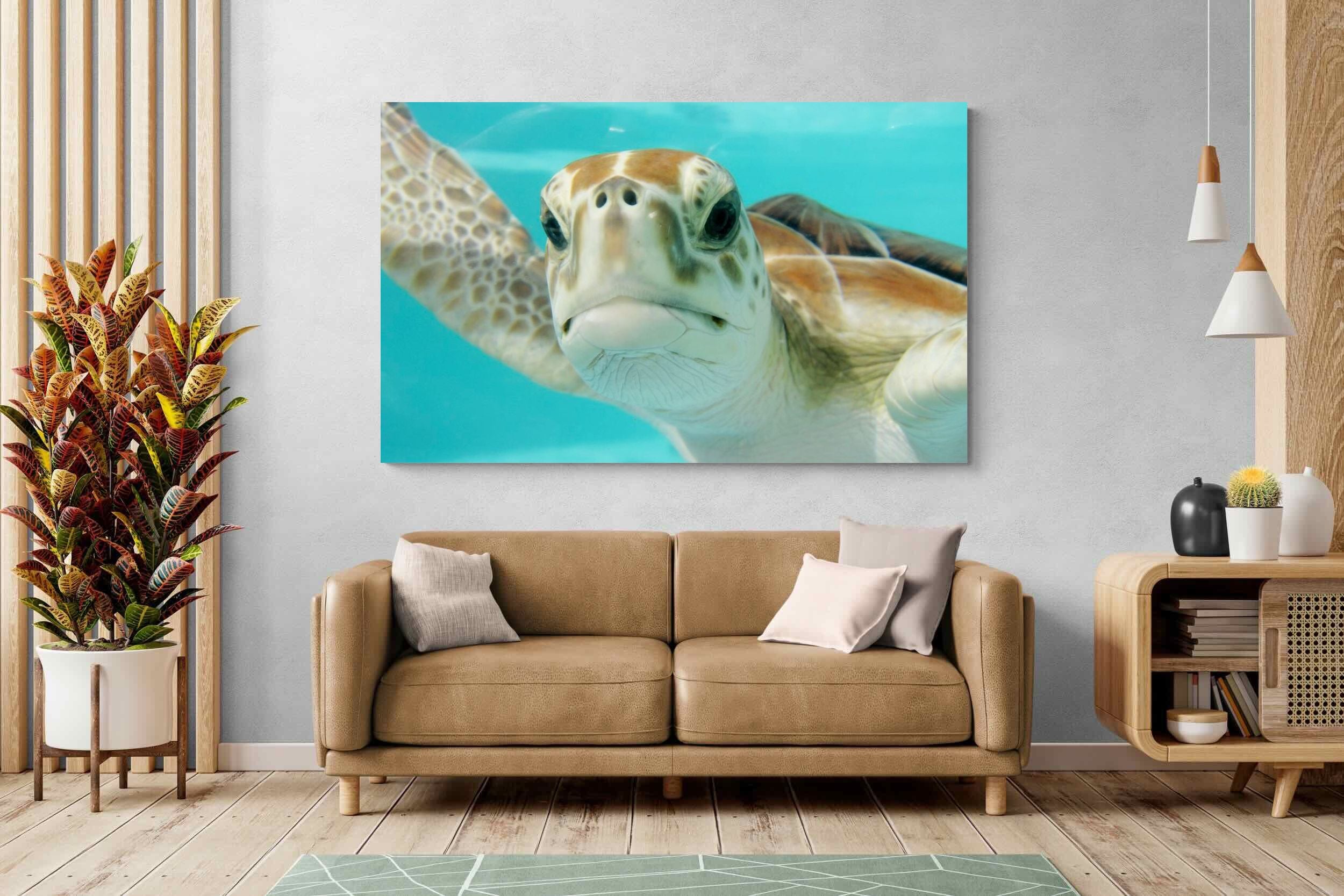 Pixalot ® Hello Turtle