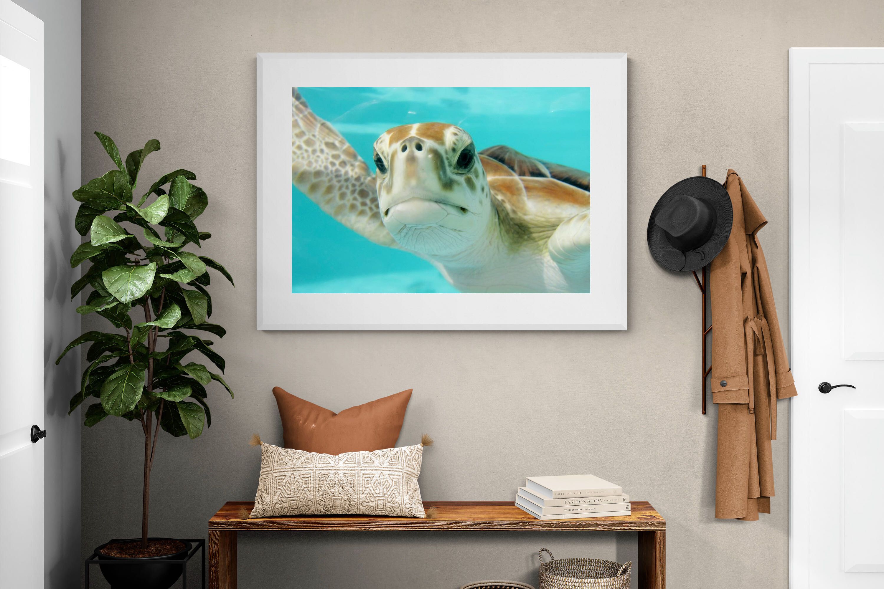 Pixalot ® Hello Turtle
