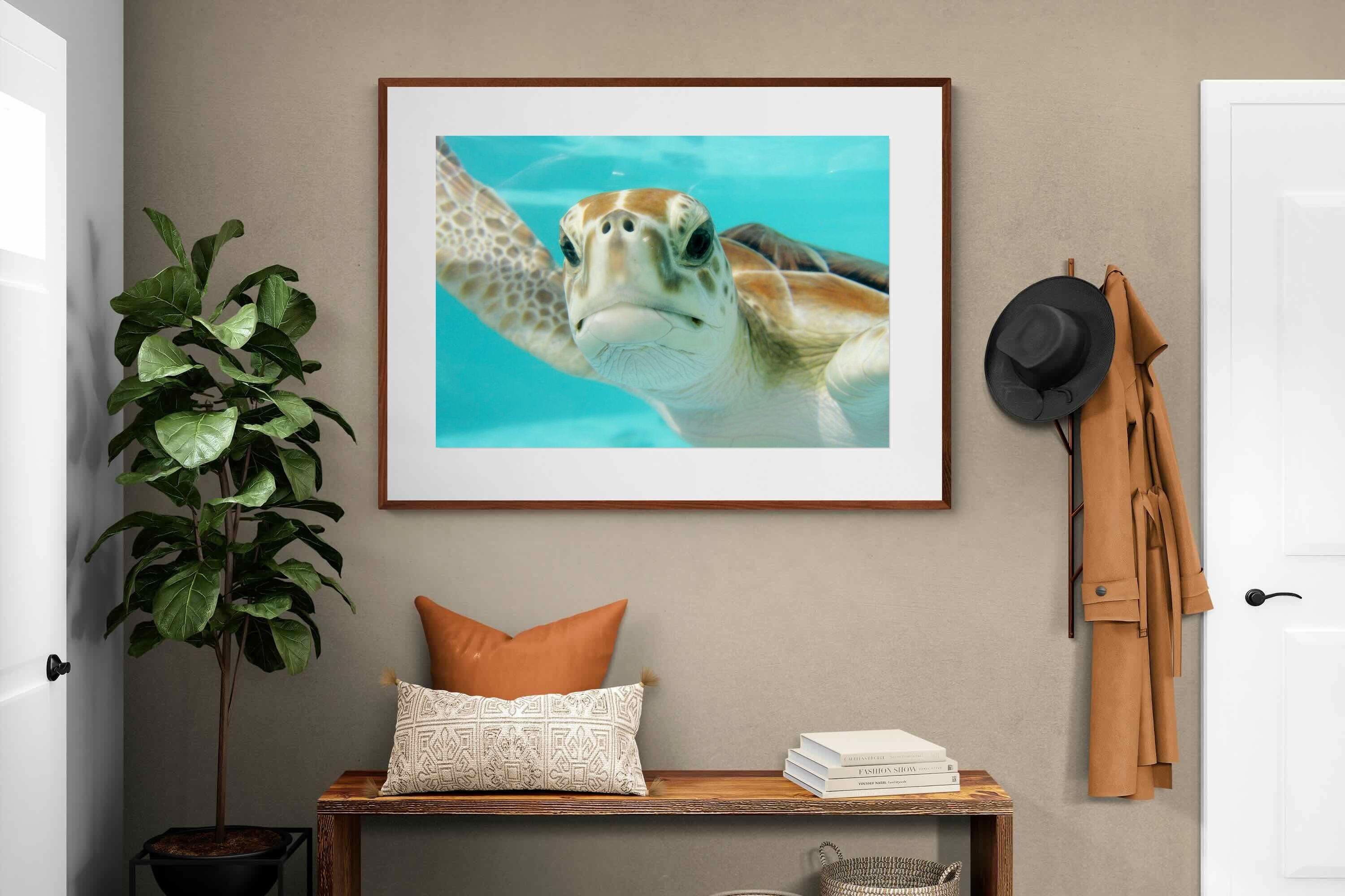 Pixalot ® Hello Turtle