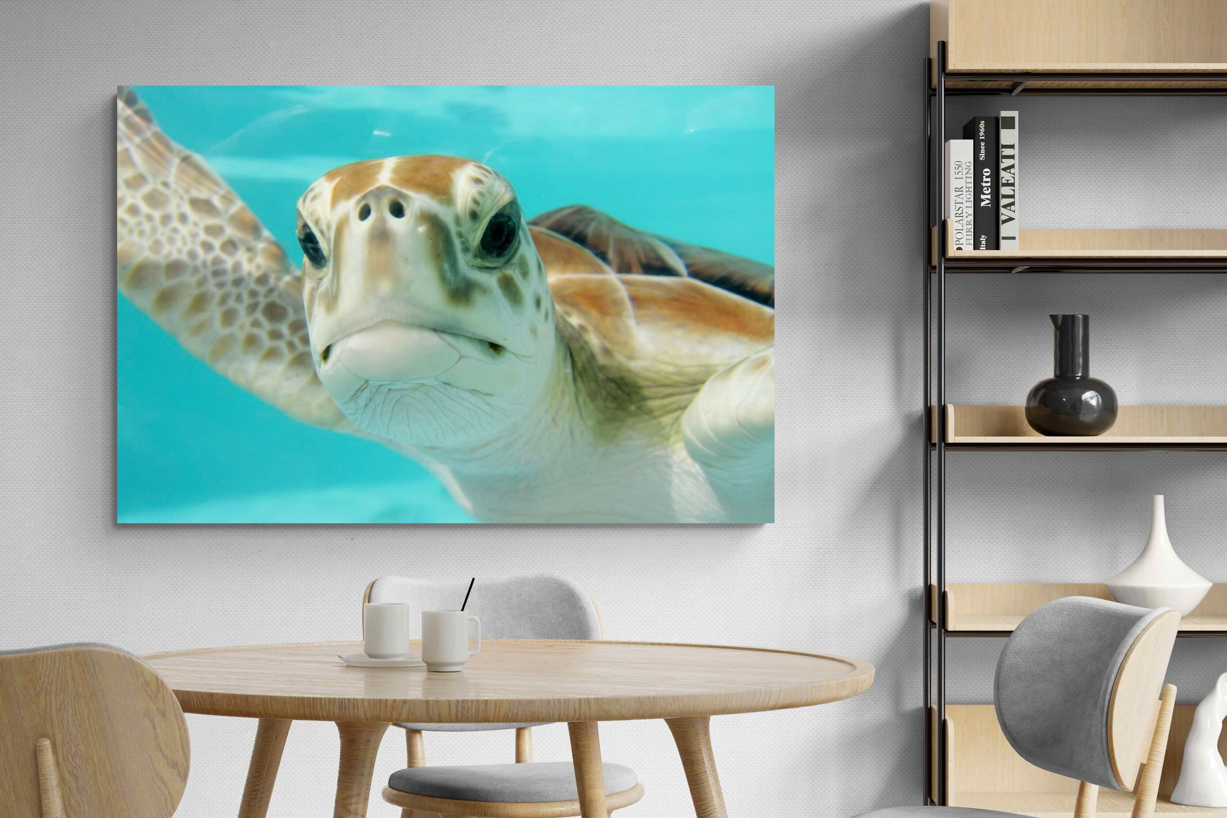 Pixalot ® Hello Turtle