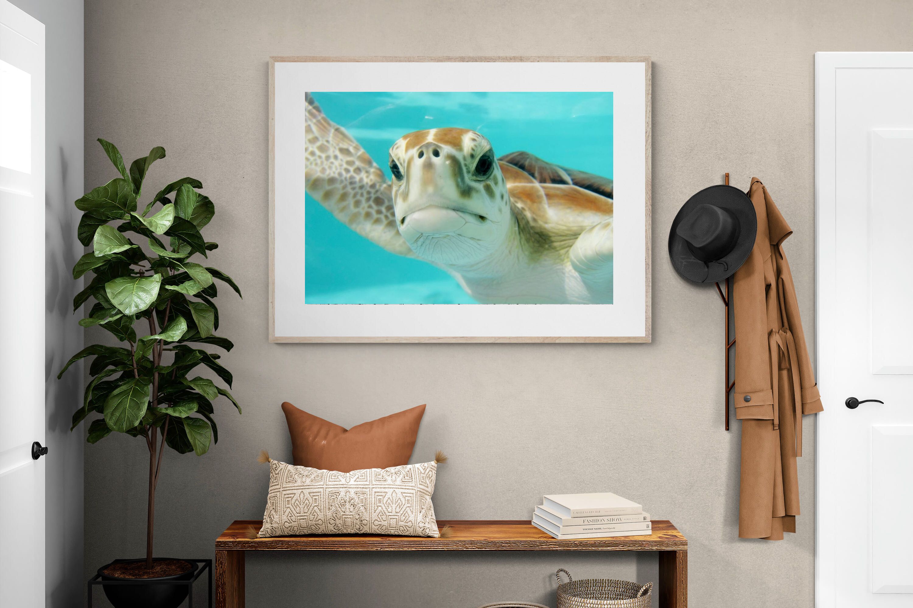 Pixalot ® Hello Turtle