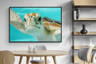 Pixalot ® Hello Turtle