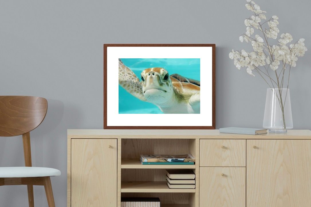 Pixalot ® Hello Turtle