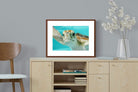 Pixalot ® Hello Turtle