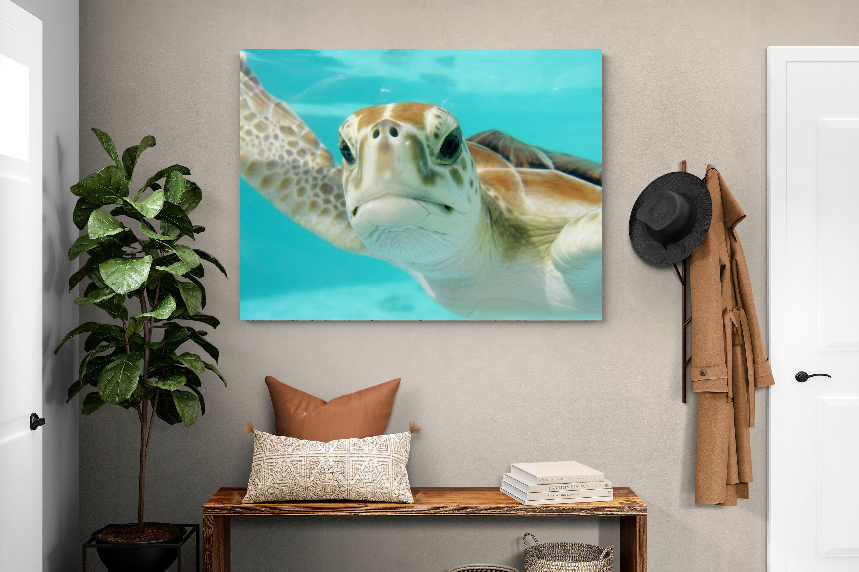 Pixalot ® Hello Turtle