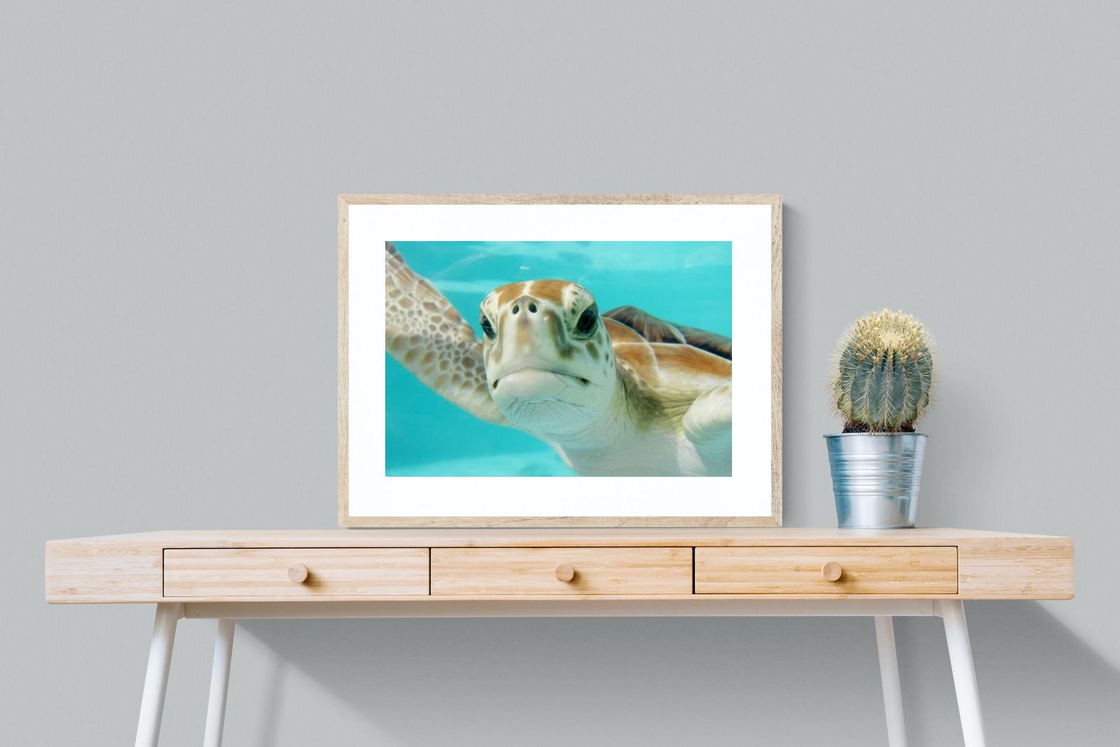 Pixalot ® Hello Turtle