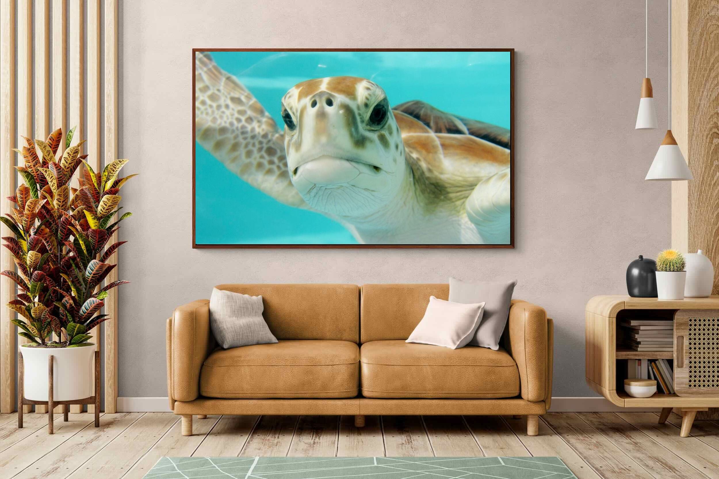 Pixalot ® Hello Turtle