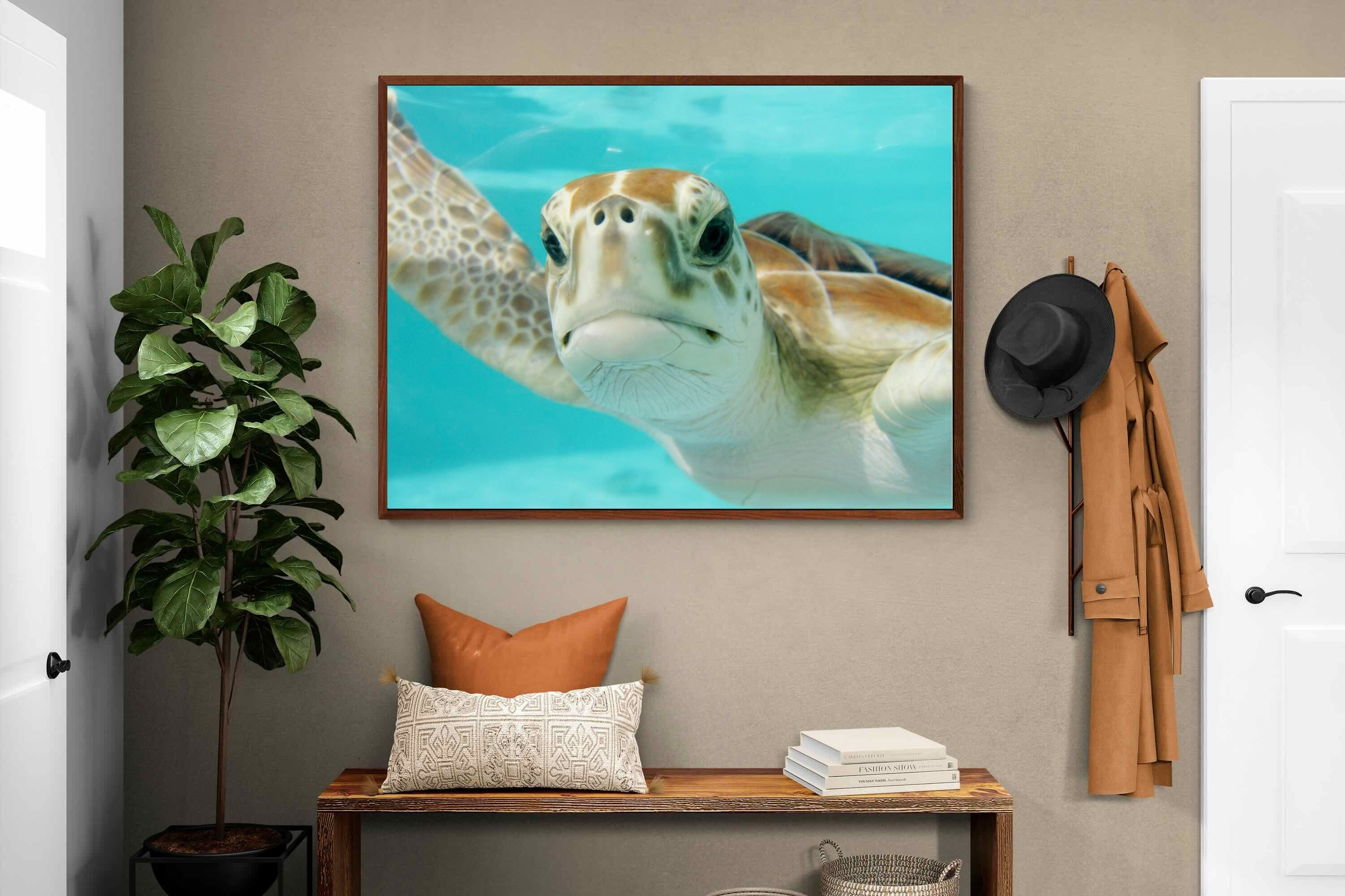 Pixalot ® Hello Turtle