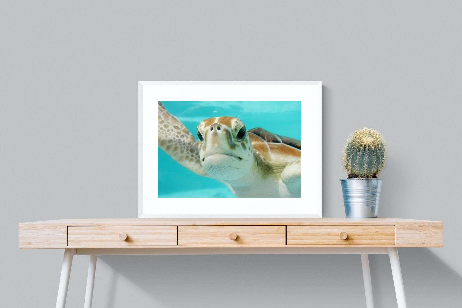 Pixalot ® Hello Turtle