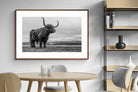 Pixalot ® Highland Cow