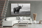 Pixalot ® Highland Cow
