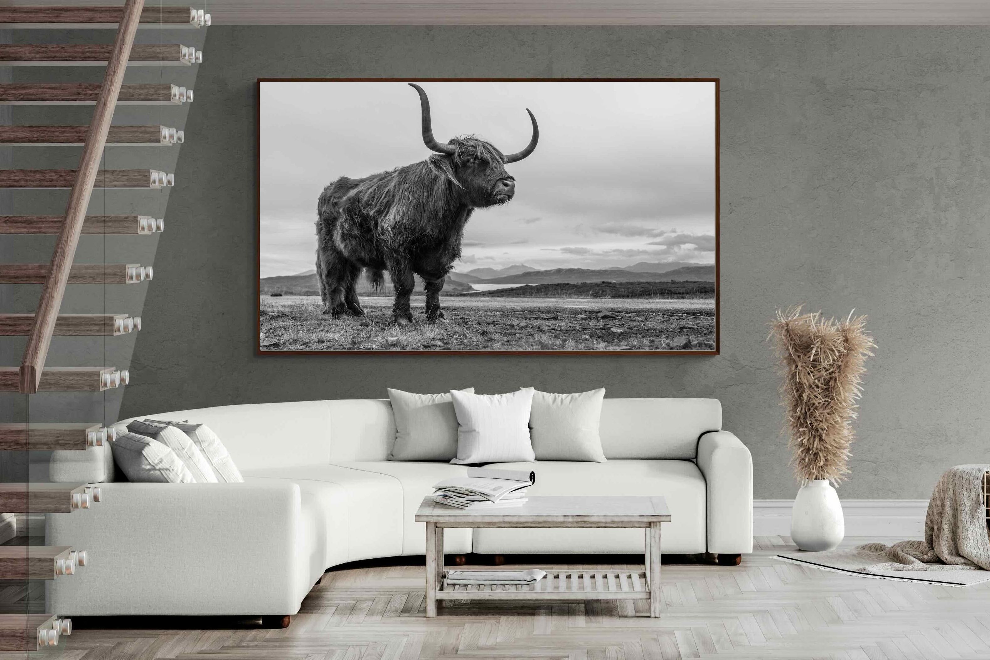 Pixalot ® Highland Cow