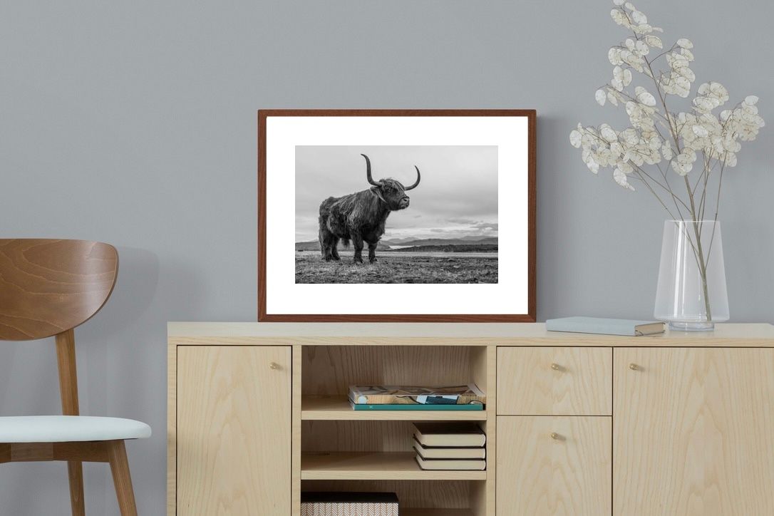 Pixalot ® Highland Cow