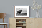 Pixalot ® Highland Cow