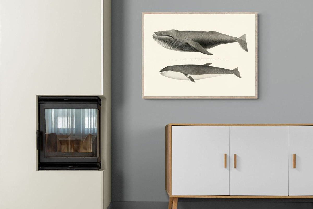 Pixalot ® Humpback & Minke Whales
