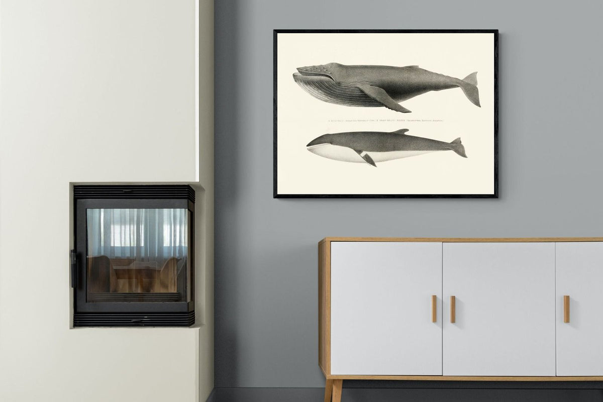 Pixalot ® Humpback & Minke Whales