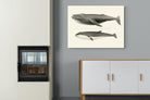Pixalot ® Humpback & Minke Whales