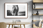 Pixalot ® Icelandic Pony